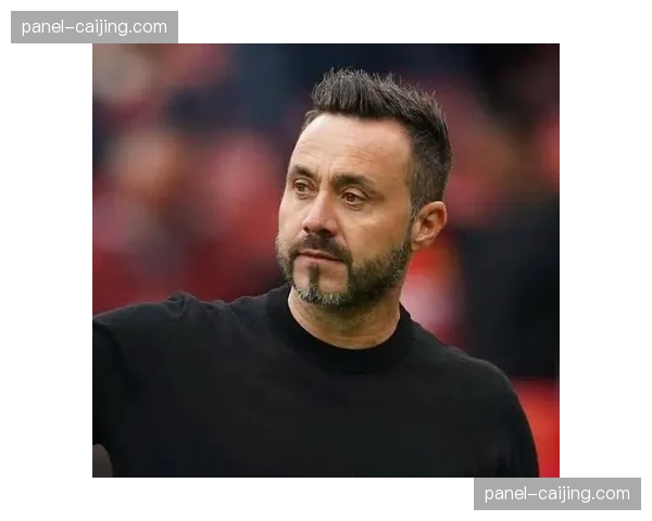 布莱顿主帅德泽尔比谈未来:专注于当下,赛季结束后再评估